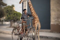 Don Tomás y su compañera de paseo